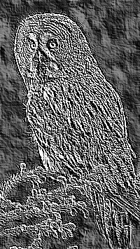 Skamielina