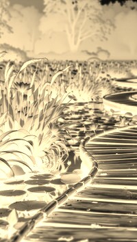 Sepia + Negatyw