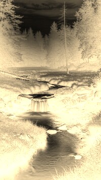 Sepia + Negatyw