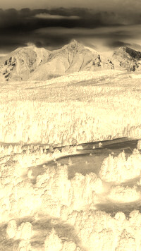 Sepia + Negatyw