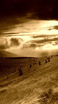 Sepia