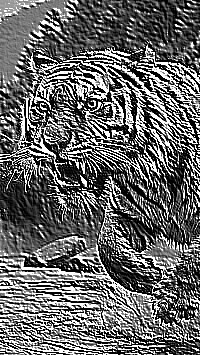 Skamielina