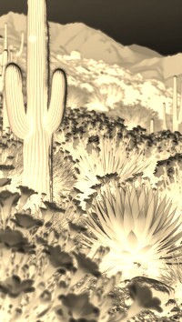 Sepia + Negatyw