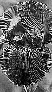 Skamielina