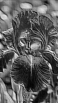 Skamielina