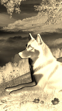 Sepia + Negatyw