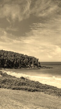 Szary + Sepia