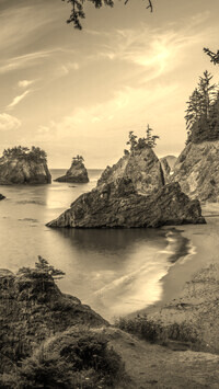 Szary + Sepia