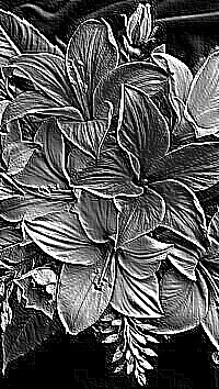 Skamielina