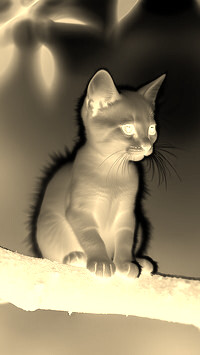 Sepia + Negatyw