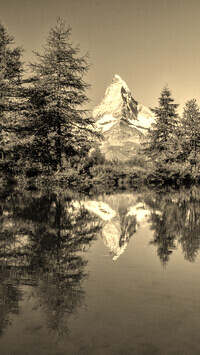 Szary + Sepia
