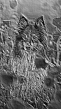 Skamielina