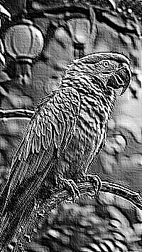 Skamielina
