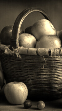 Szary + Sepia