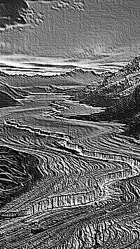 Skamielina
