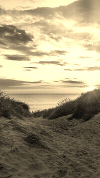 Sepia