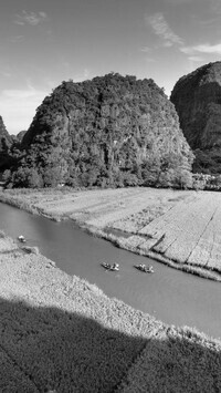 Szary