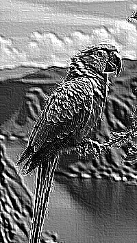 Skamielina