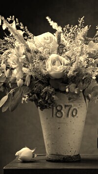 Szary + Sepia