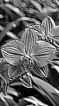 Skamielina