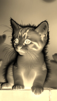 Sepia + Negatyw
