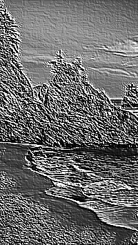 Skamielina