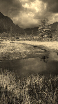 Sepia