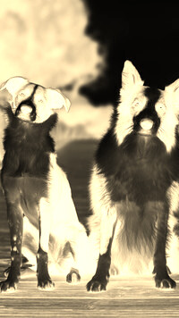 Sepia + Negatyw