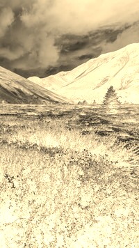 Sepia + Negatyw