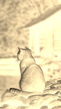 Sepia + Negatyw