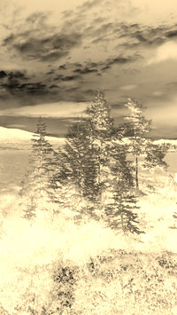 Sepia + Negatyw