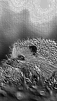 Skamielina