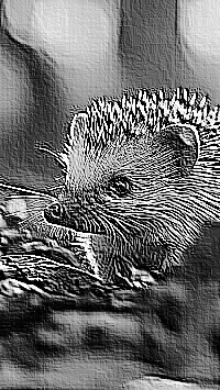 Skamielina