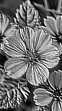 Skamielina