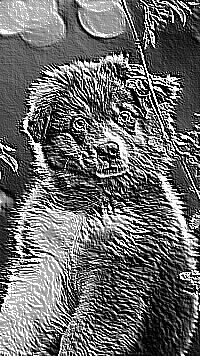 Skamielina
