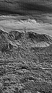Skamielina