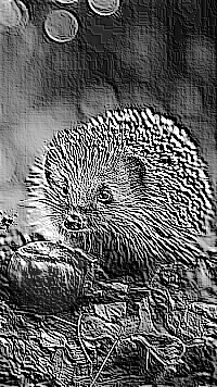 Skamielina