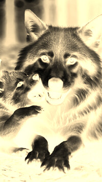 Sepia + Negatyw