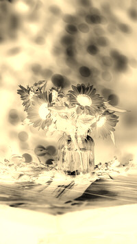 Sepia + Negatyw