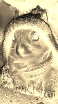 Sepia + Negatyw