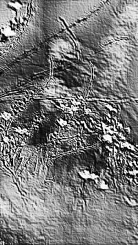 Skamielina