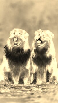 Sepia + Negatyw