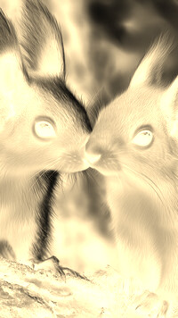 Sepia + Negatyw