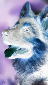 Negatyw