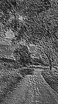 Skamielina
