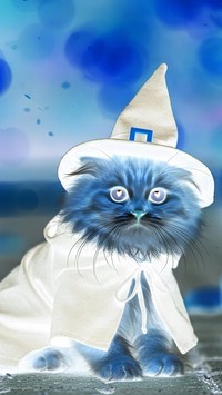 Negatyw