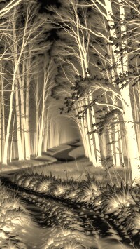 Sepia + Negatyw