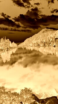 Sepia + Negatyw