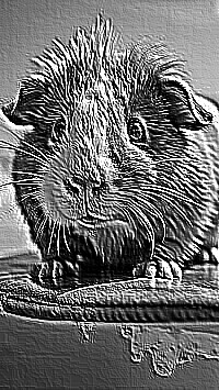 Skamielina