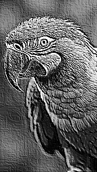 Skamielina